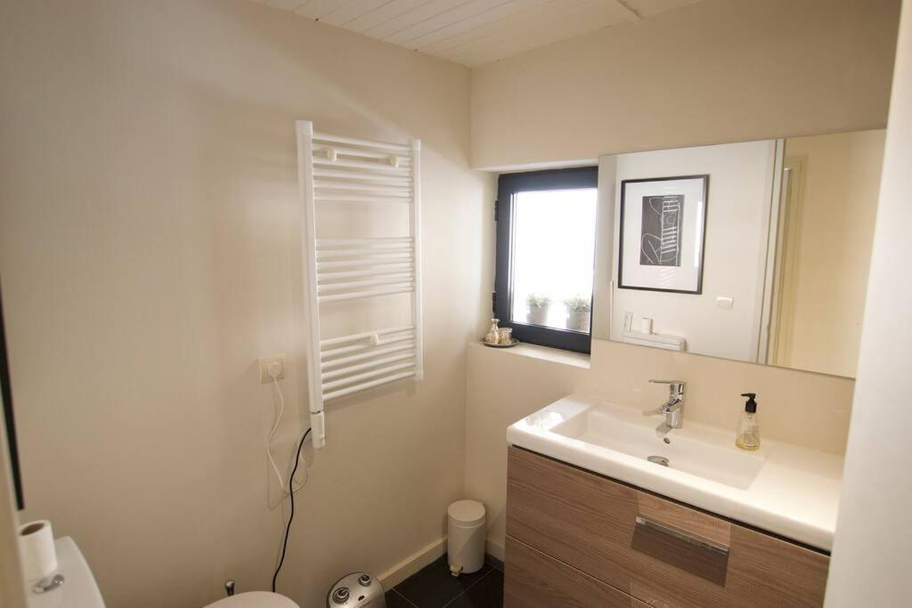 Apartament Central Amb Terrassa Alp Kültér fotó